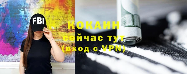 винт Пересвет