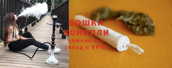 соль ск Грязовец