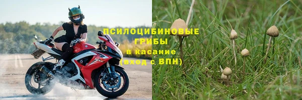 Альфа ПВП Губаха