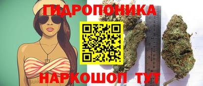 МДПВ Балашиха