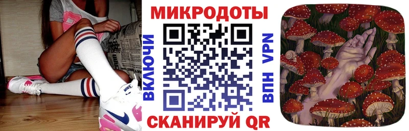 где можно купить наркотик  Мегион  Псилоцибиновые грибы Psilocybe 