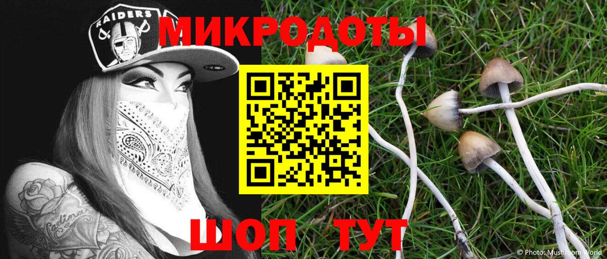 Мегион  Псилоцибиновые грибы Psilocybine cubensis  Вход с VPN 