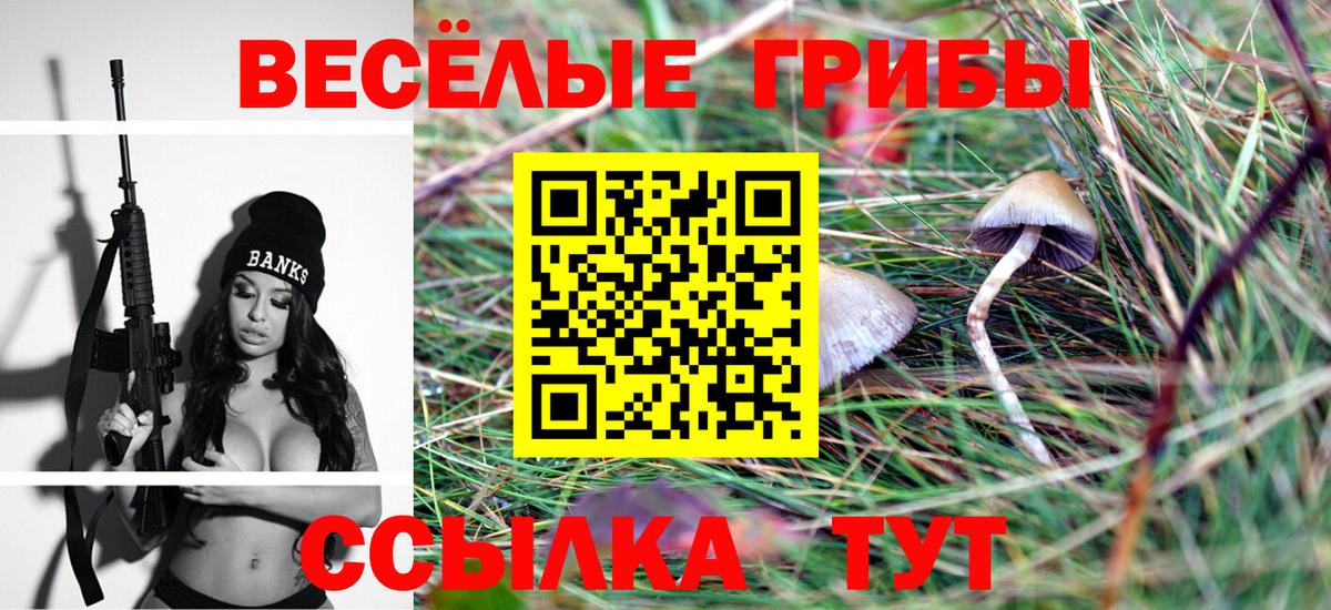 Псилоцибиновые грибы Cubensis Мегион